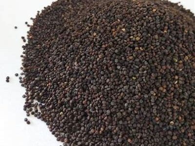 local foods of uttarakhand