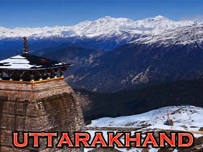 Privacy & Terms Conditions