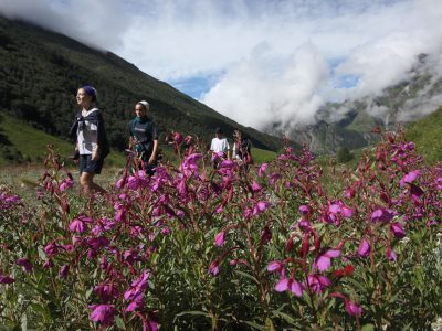 valley of flowers tour packages