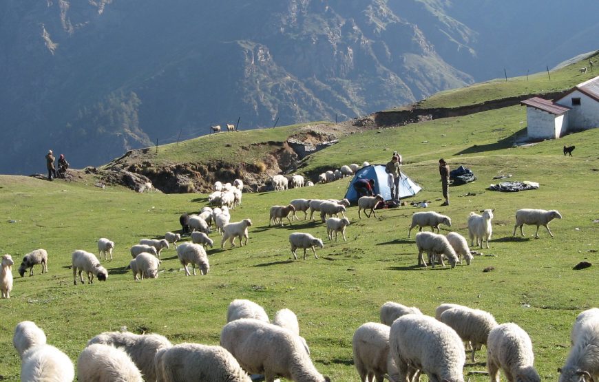 Roop Kund Trek